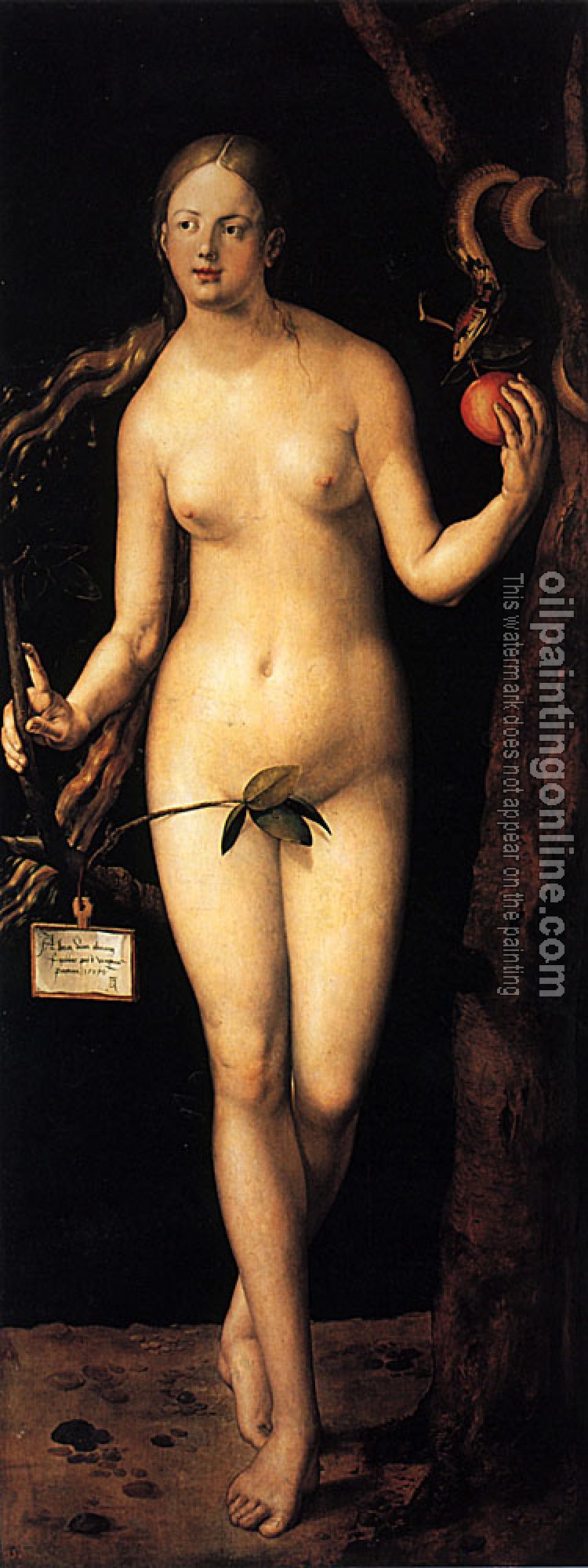 Durer, Albrecht - Eve